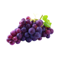 Grape Seed Extract European standard